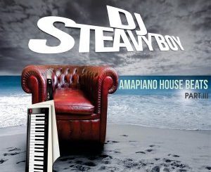 DJ Steavy Boy - Amapiano House Beats Part 3
