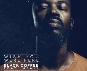 Black Coffee – Wish You Were Here (Remixes) Ft. Msaki
