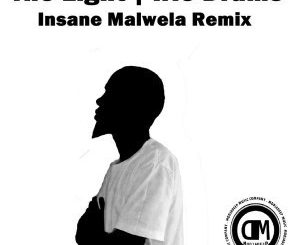 Irie Drums - The Light (Insane Malwela Remix)