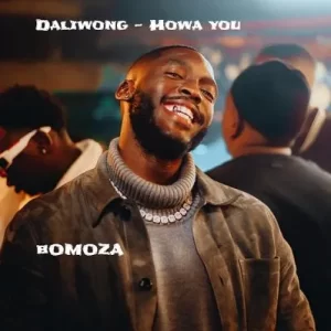 Daliwonga - Hawa You Yu