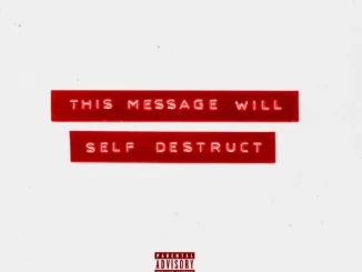 DON TRIP - THIS MESSAGE WILL SELF DESTRUCT
